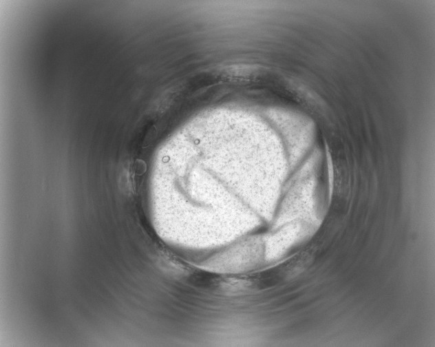 X0000073840718200608311935