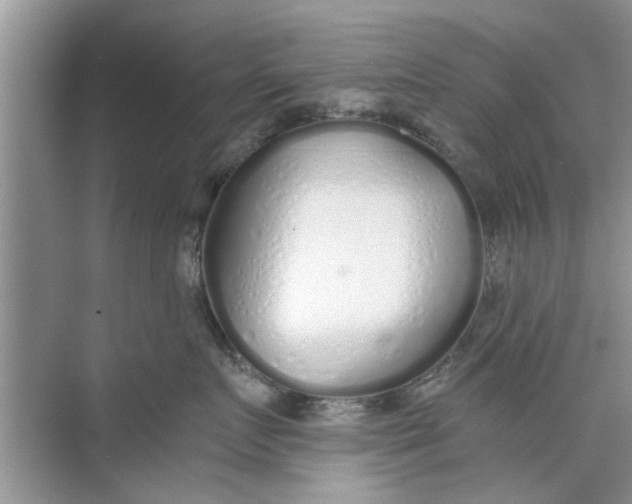 X0000073840719200608311935