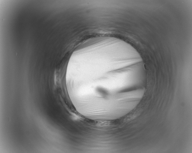 X0000073840720200608311934