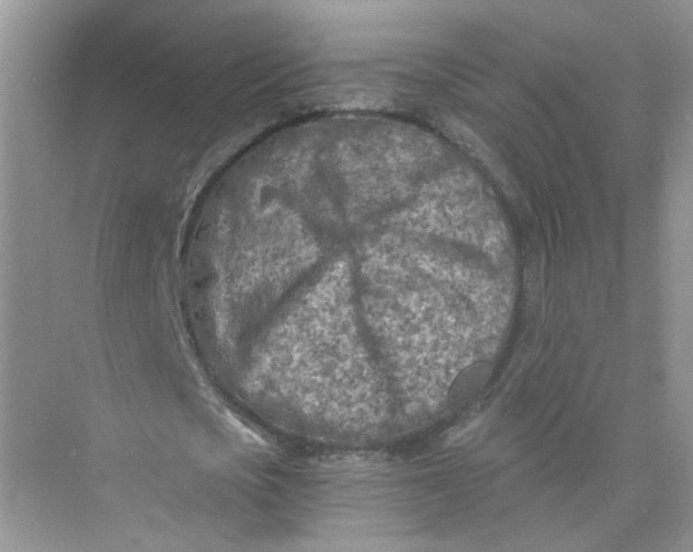 X0000073840721200608311934