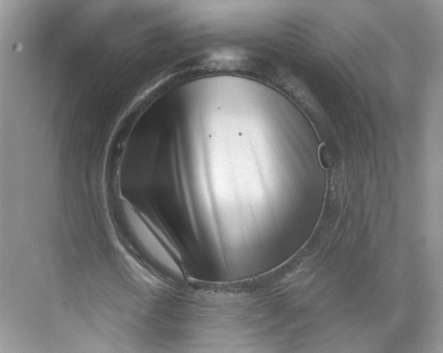 X0000073840722200608311934