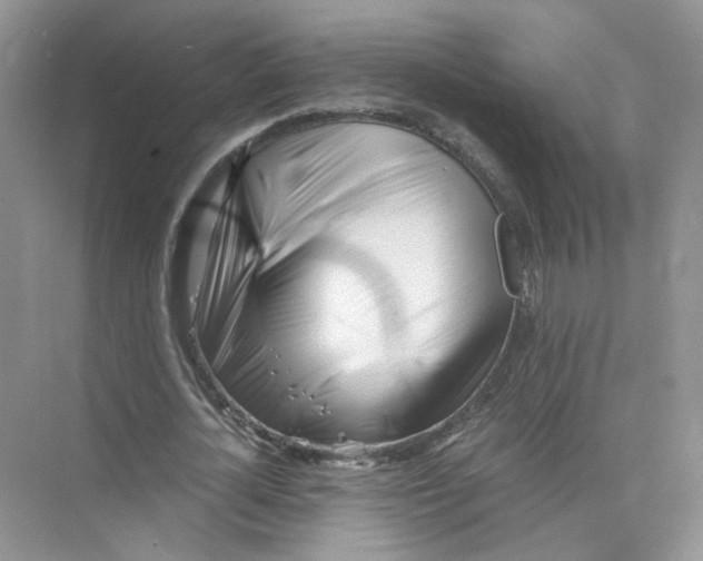 X0000073840724200608311934