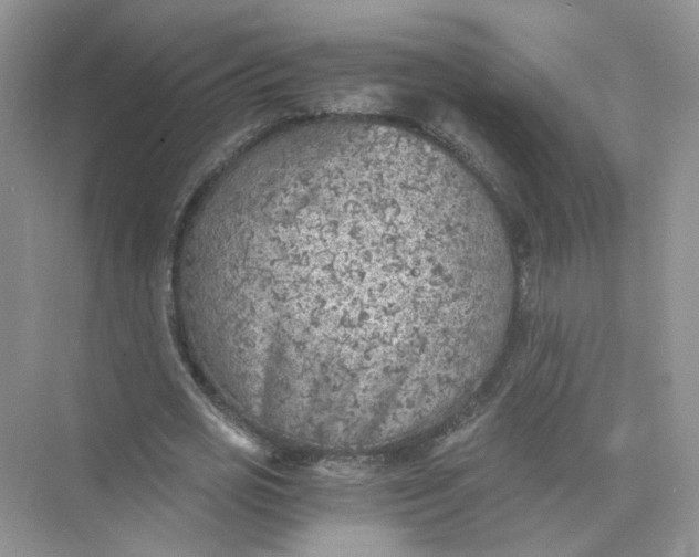 X0000073840725200608311934