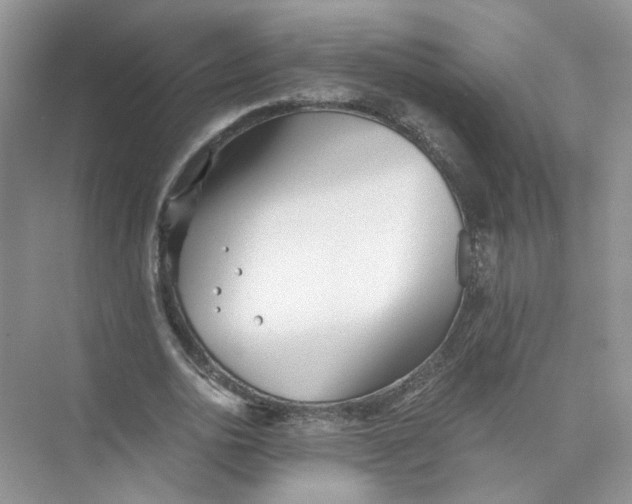 X0000073840726200608311934