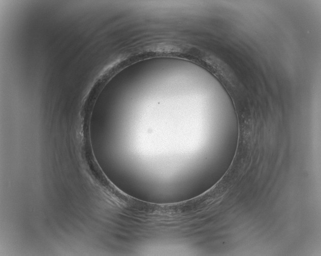 X0000073840727200608311934