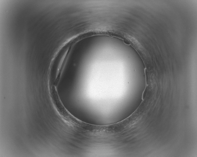 X0000073840728200608311934