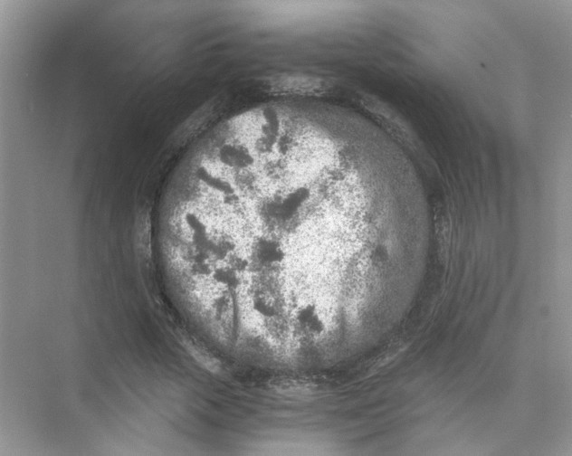 X0000073840729200608311934