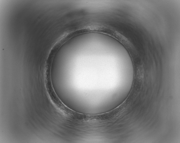 X0000073840730200608311934