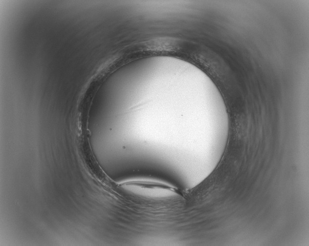 X0000073840731200608311934