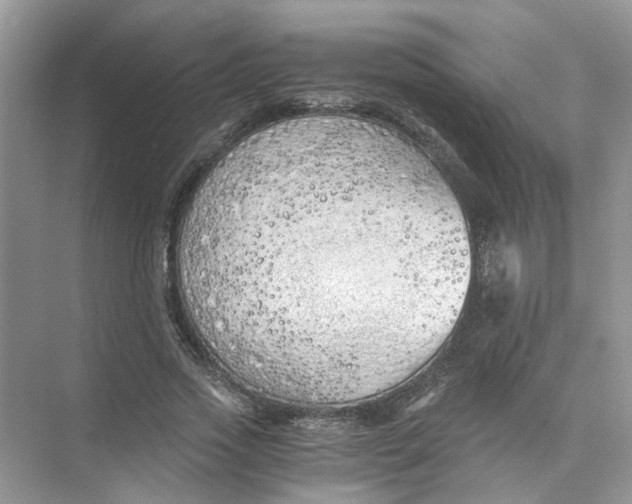 X0000073840733200608311934