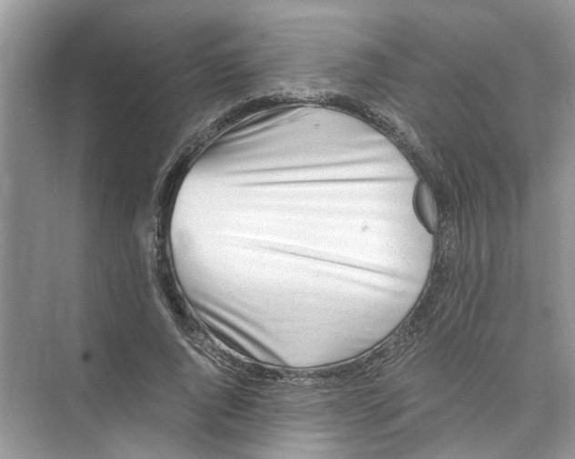 X0000073840736200608311934