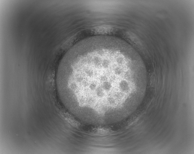 X0000073840737200608311934