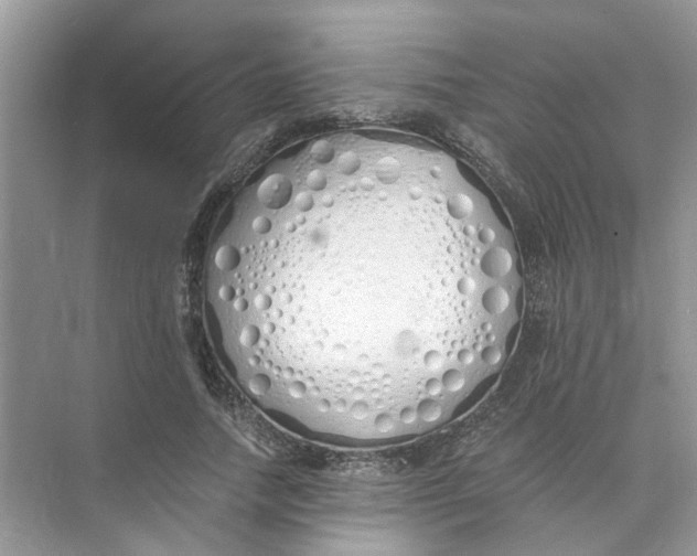 X0000073840738200608311934