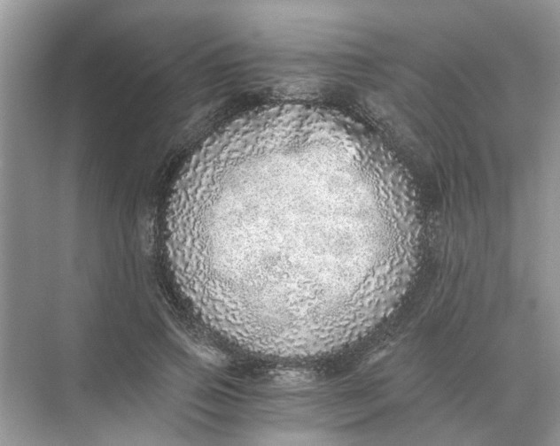 X0000073840741200608311934