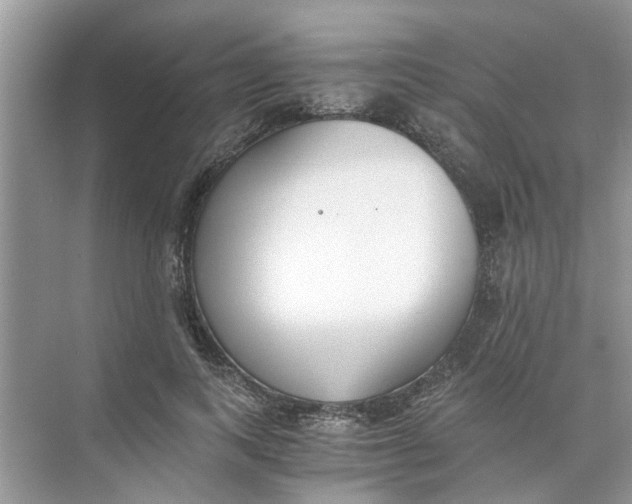 X0000073840743200608311934