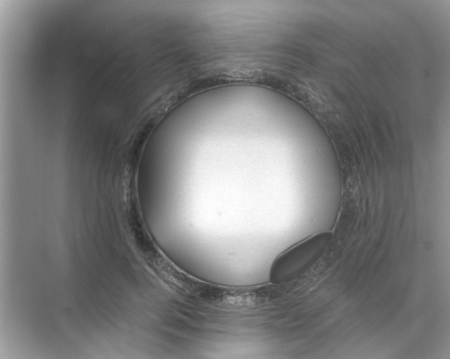 X0000073840744200608311934