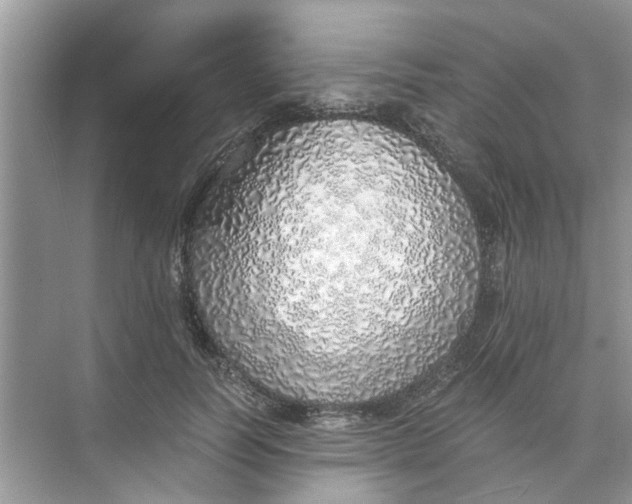 X0000073840746200608311934