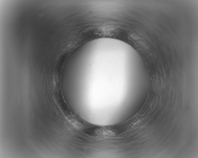 X0000073840747200608311934