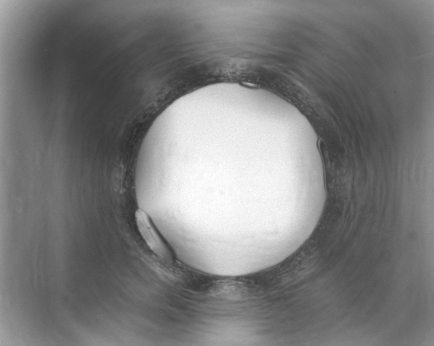 X0000073840750200608311934