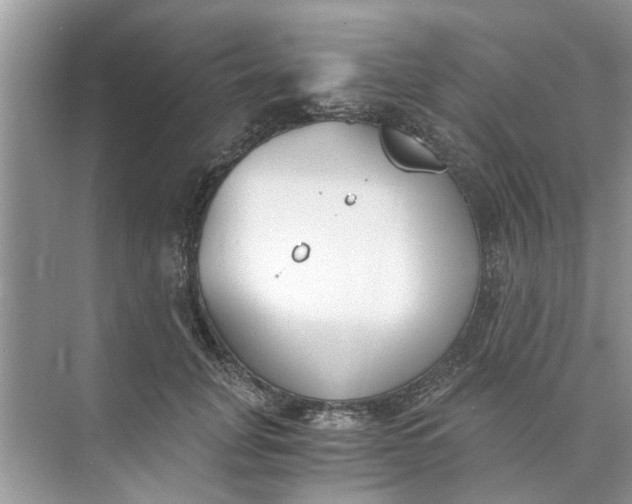 X0000073840751200608311934