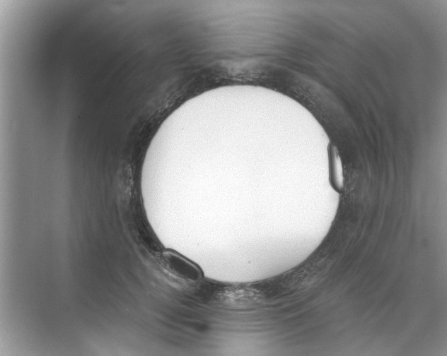 X0000073840752200608311934