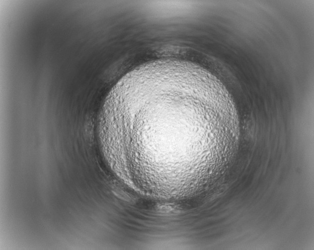 X0000073840753200608311934