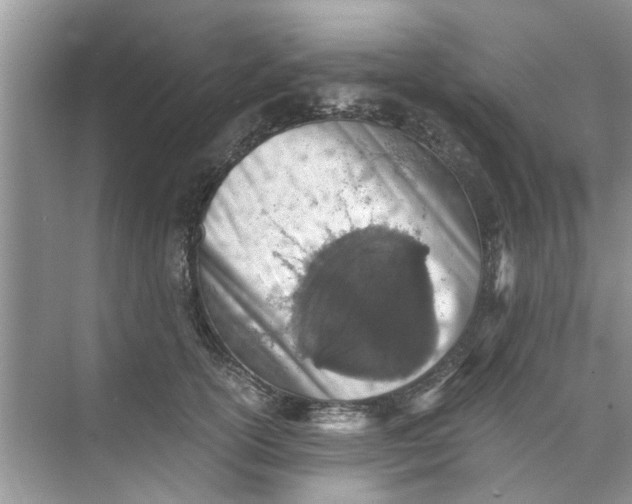 X0000073840754200608311934