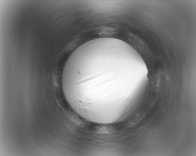 X0000073840755200608311934