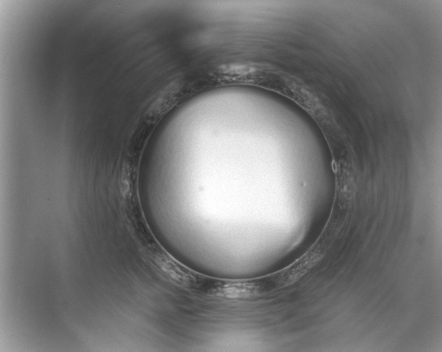 X0000073840758200608311934