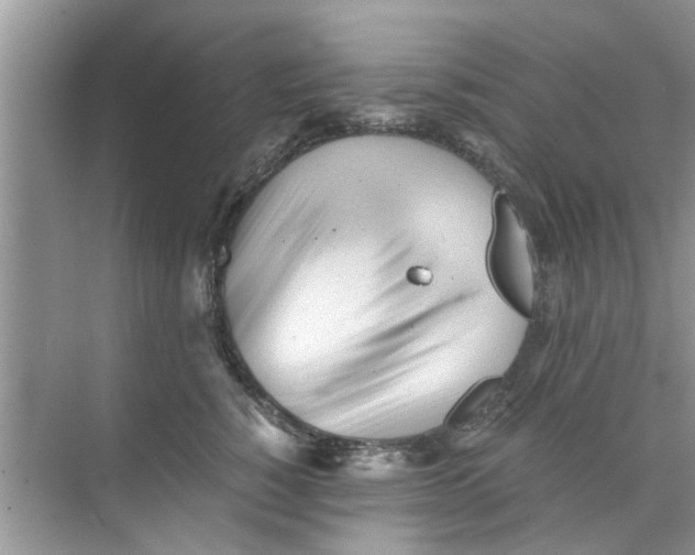 X0000073840760200608311934