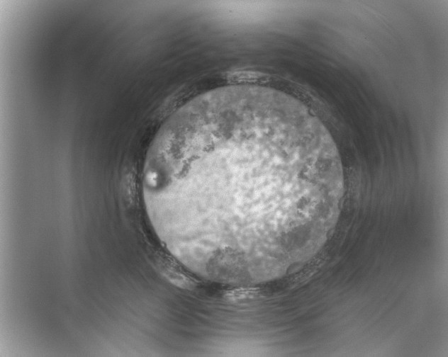 X0000073840761200608311934