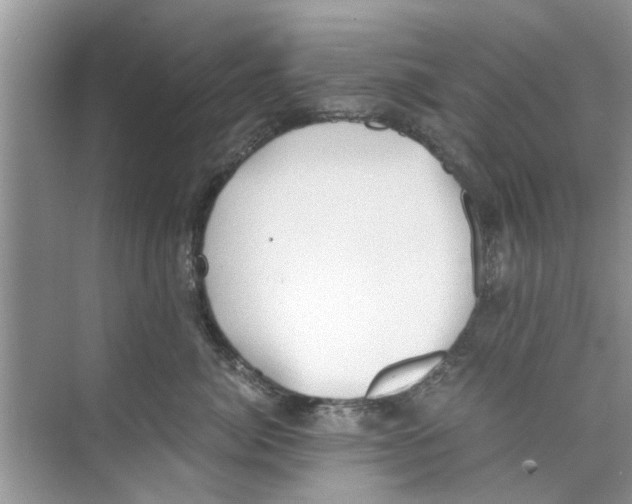 X0000073840764200608311934