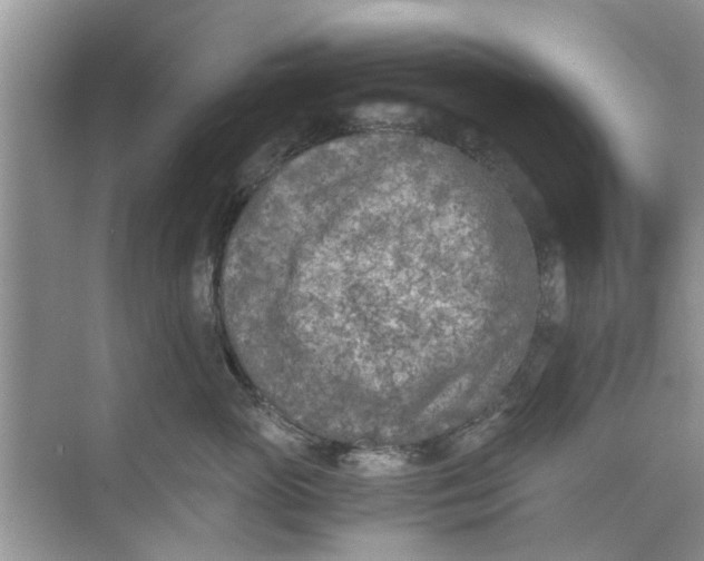 X0000073840765200608311934