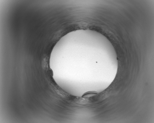 X0000073840768200608311934