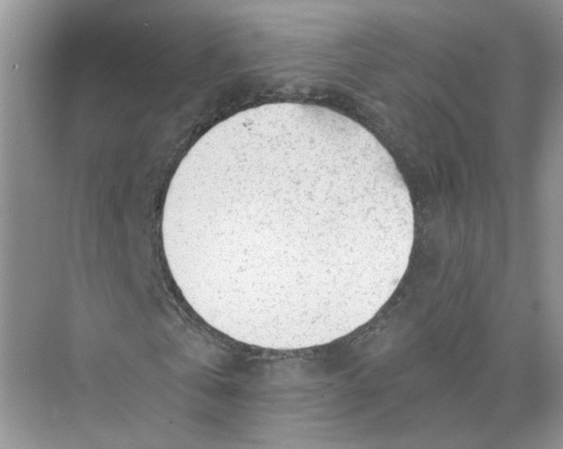 X0000073840769200608311934