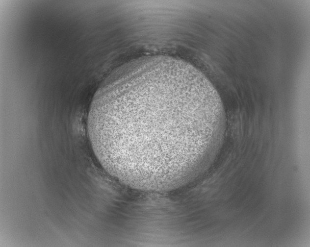 X0000073840770200608311934