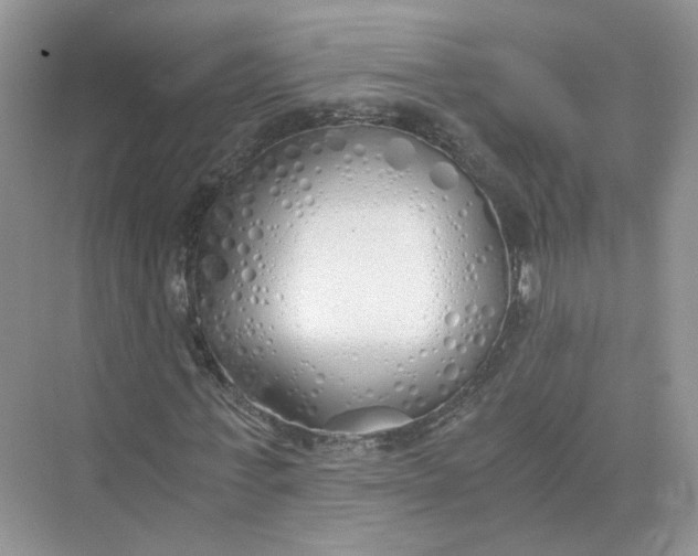 X0000073840771200608311934