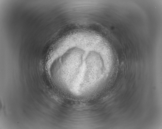 X0000073840772200608311934