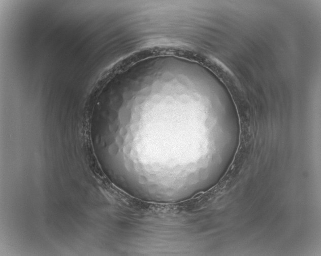 X0000073840775200608311934