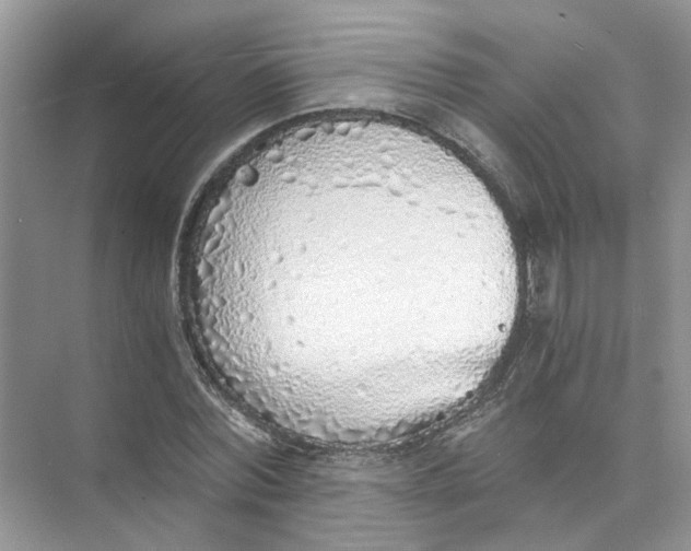 X0000073840780200608311933