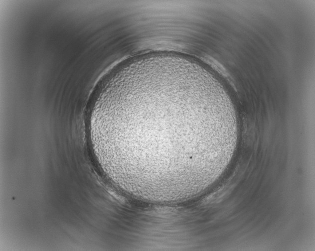 X0000073840782200608311933