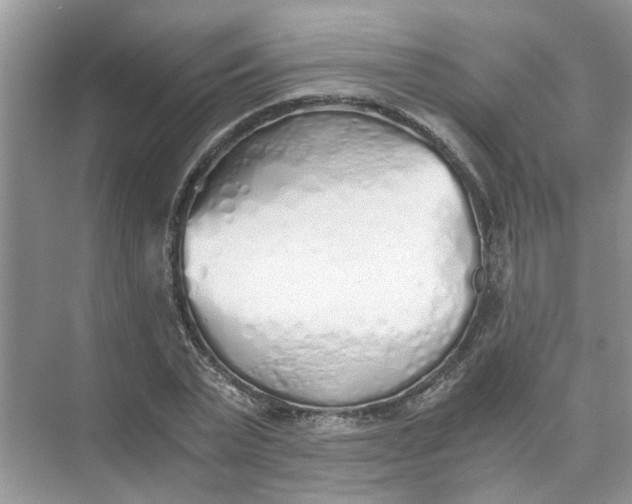 X0000073840783200608311933