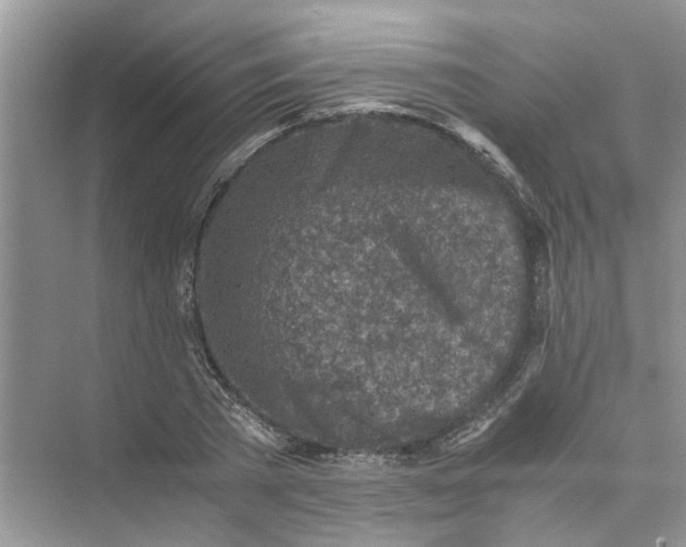 X0000073840785200608311933