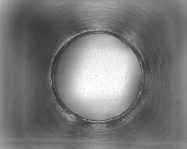 X0000073840789200608311933