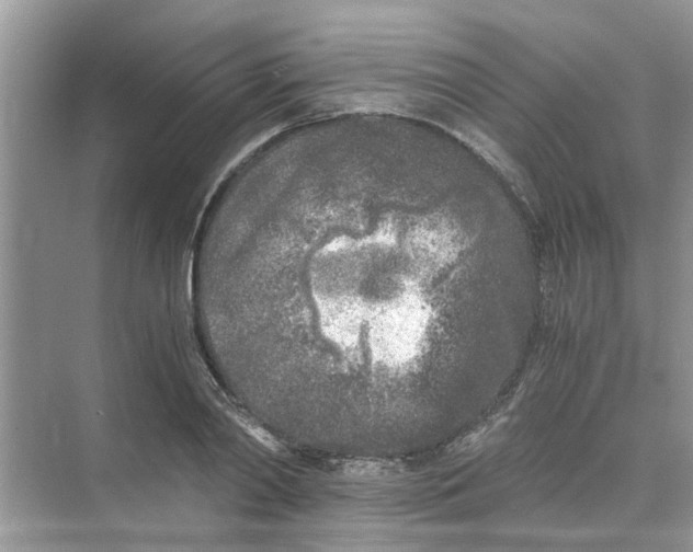 X0000073840790200608311933