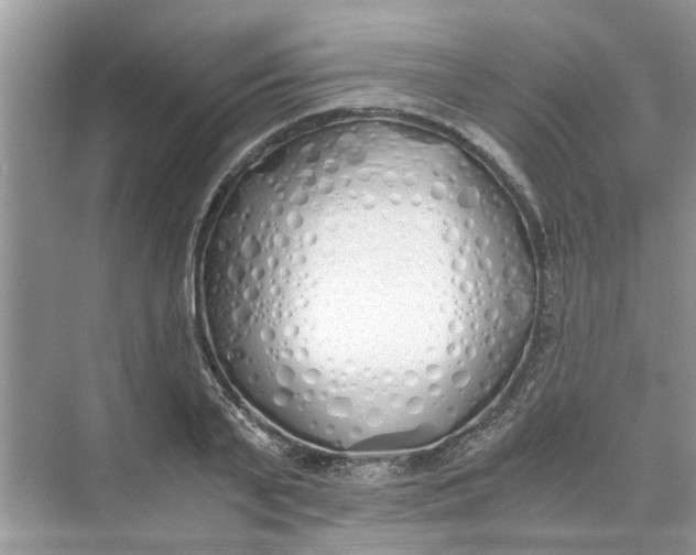 X0000073840791200608311933