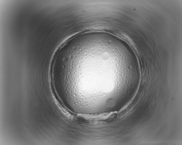 X0000073840795200608311933