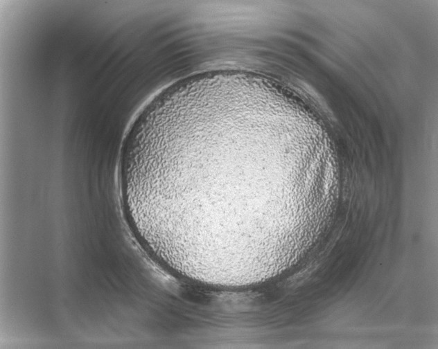 X0000073840796200608311933