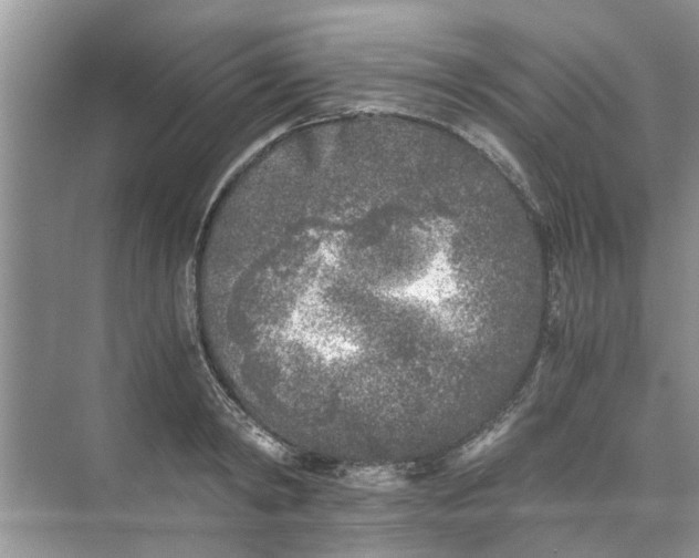 X0000073840798200608311933