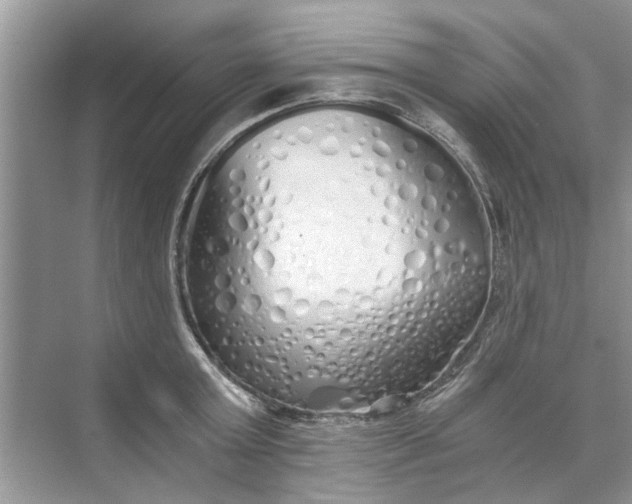 X0000073840803200608311933